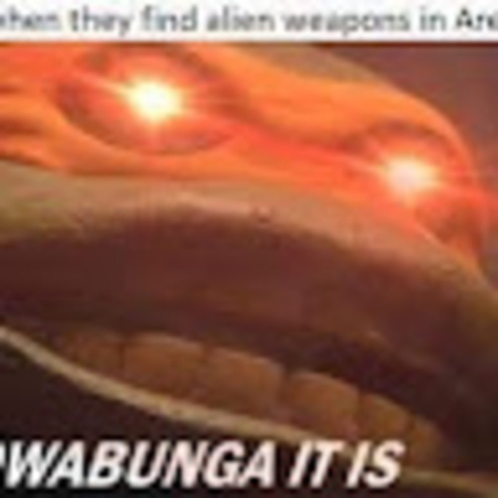 Meet your Posher, Finley